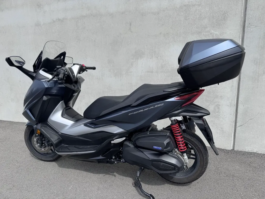 IMG_2486.webp